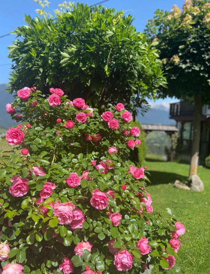 Haus Schwaighof Διαμέρισμα Arzl im Pitztal Εξωτερικό φωτογραφία