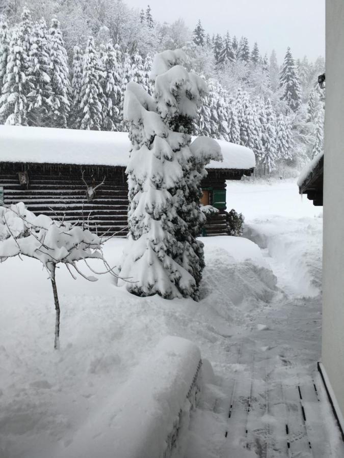 Haus Schwaighof Διαμέρισμα Arzl im Pitztal Εξωτερικό φωτογραφία